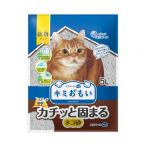 大王製紙 キミおもい カチッと固まる ネコ砂 5L   【4個セット】