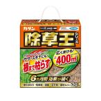 【ポイント10倍】【農薬】フマキラー カダン除草王 オールキラー 2KG