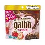 * Meiji garubo.. очистка .pauchi58g [16 шт. комплект ]