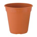  Apple одежда -ro там pot Brown 