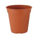  Apple одежда -ro там pot 240 type 