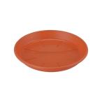  Apple одежда -. тарелка AP терракота 