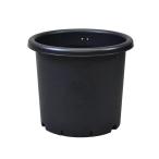  Apple одежда -. горшок черный 