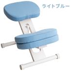 プロポーションチェア CH-N889CK ホワイトLブルー メーカー直送 ▼返品・キャンセル不可【他商品との同時購入不可】
