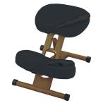 プロポーションチェア CH-DBR88W BK 組立必要【直送品】 返品・キャンセル・他商品と同時購入は不可