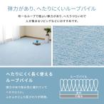 フリーカット裏付 い草カーペット みすず 団地間6畳  メーカー直送 ▼返品・キャンセル不可【他商品との同時購入不可】