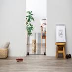  Iris o-yama домашнее животное забор 