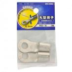 オーム電機 丸型端子 R60-10  DZ-R60-10／A2 2個入