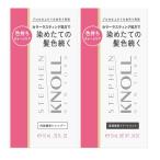 コーセー スティーブンノル カラー ラスティング トライアル 10mL+10mL