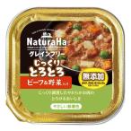 【ポイント2倍】マルカン ナチュラハ グレインフリー じっくりとろとろビーフ＆野菜 100g