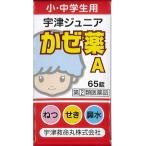 【指定第2類医薬品】宇津ジュニアかぜ薬A 65錠 【セルフメディケーション税制対象】