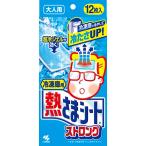 冷凍庫用 熱さまシートストロング大人用 12枚