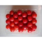 . превосходящий .2L размер (.. для ) примерно 350g