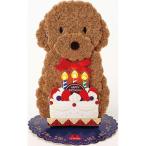 バースデーカード ライト＆メロディー 立体 トイプードル ケーキ JPME45-5R 184161 サンリオ sanrio グリーティングカード 誕生日 お祝い 手紙 犬 光る 音が鳴る