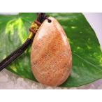 ネックレスフォシルコーラル珊瑚化石16g