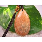 ネックレスフォシルコーラル珊瑚化石16g