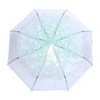 透明な女の子の傘透明な折りたたみ傘おしゃれなプリンセスの傘チェリー4色Hipsterkid傘子供用、女の子用、男の子用、幼児用(ブルーグリー