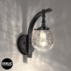 LED 照明 LED ポーチライト OG 254 030LCR ODELIC オーデリック LEDライト 外灯 屋外 門灯 OG254030LCR