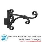  железный стена украшение Sharo -ne elegant цветок вешалка EF2 type машина m черный (B7) TEP-EF-2-B7 YKKap старый наименование : тигр ti Zion цветок вешалка 2 type (BEP-F2)