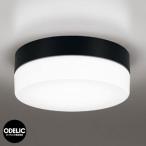 オーデリック ポーチライト OW 269 035ND 昼白色