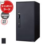 パナソニック イーコンボライト ラージSMARI対応地域限定 前出し マットブラック 樹脂生地色 Panasonic COMBO-Light CTN6250RBSM 電子錠