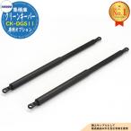  clean keeper для CK-DGS11 промежуток .100*130 для газ комплект пружин Takubo место хранения 