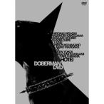 ▼DVD/布袋寅泰/DOBERMAN DVD (限定盤)