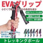 トレッキングポール 折り畳み 二本セット 登山ストック 登山用スティック 長さ調整可能 登山杖 5節 超軽量