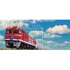 (鉄道模型)KATO：3066-F  ＥＦ８１　９５ レインボー塗装機