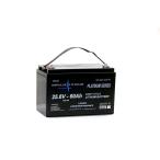 IMPULSE LITHIUM Impulse lithium 24v60Ah Platinum Series LiFePO4 LITHIUM BATTERY( lithium аккумулятор )