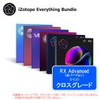 IZOTOPE EVERYTHING BUNDLE CROSSGRADE FROM RX ADVANCED загрузка версия 
