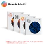 IZOTOPE ELEMENTS SUITE 12 загрузка версия надежный Япония стандартный товар!