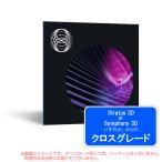 IZOTOPE EQUINOX CROSSGRADE STRATUS 3D OR SYMPHONY 3D загрузка версия 