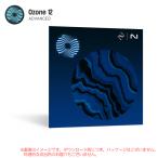 IZOTOPE OZONE 12 ADVANCED загрузка версия [ быстрый! самый короткий этот день серийный PDF поставка товара ] надежный Япония стандартный товар!