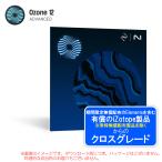 IZOTOPE OZONE 12 ADVANCED CROSSGRADE ANY PAID IZOTOPE PRODUCT[ специальная цена! ограниченное количество ]