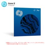IZOTOPE OZONE 12 STANDARD загрузка версия [ быстрый! самый короткий этот день серийный PDF поставка товара ] надежный Япония стандартный товар!