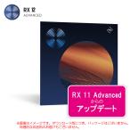 IZOTOPE RX 12 ADVANCED UPDATE FROM RX 11 ADVANCED загрузка версия надежный Япония стандартный товар!