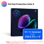 IZOTOPE RX POST PRODUCTION SUITE 9 CROSSGRADE FROM RX 12 ADVANCED загрузка версия 