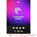 UJAM INTRO BUNDLE загрузка версия надежный Япония стандартный товар!