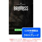 UJAM SYMPHONIC ELEMENTS BRAAASSroiyaliti( Cross комплектация ) загрузка версия 