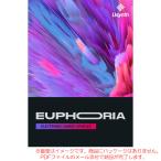 UJAM USYNTH EUPHORIA загрузка версия надежный Япония стандартный товар!