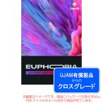 UJAM USYNTH EUPHORIAroiyaliti( Cross комплектация ) загрузка версия надежный Япония стандартный товар!