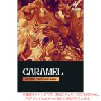 UJAM USYNTH CARAMEL загрузка версия надежный Япония стандартный товар!