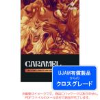 UJAM USYNTH CARAMELroiyaliti( Cross комплектация ) загрузка версия надежный Япония стандартный товар!
