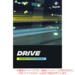 UJAM USYNTH DRIVE загрузка версия надежный Япония стандартный товар!
