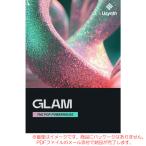 UJAM USYNTH GLAM загрузка версия надежный Япония стандартный товар!