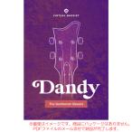 UJAM VIRTUAL BASSIST DANDY загрузка версия надежный Япония стандартный товар!