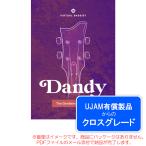 UJAM VIRTUAL BASSIST DANDYroiyaliti( Cross комплектация ) загрузка версия надежный Япония стандартный товар!