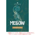 UJAM VIRTUAL BASSIST MELLOW 2 загрузка версия надежный Япония стандартный товар!