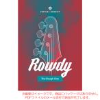UJAM VIRTUAL BASSIST ROWDY 2 загрузка версия надежный Япония стандартный товар!